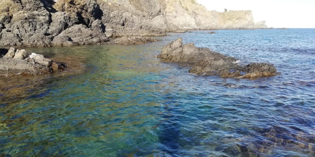 Location De Cerbere