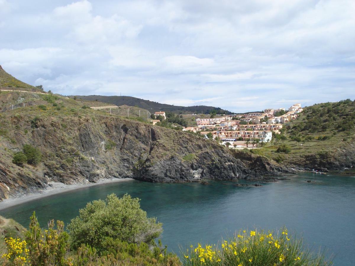 Apartment Location De Cerbere